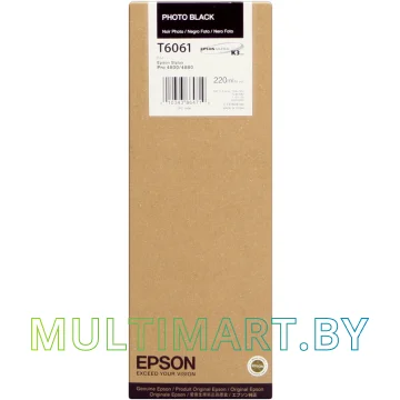 Картридж Epson C13T606100